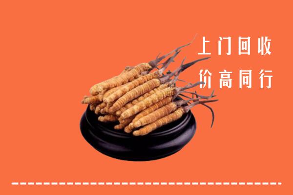 高价求购：芜湖回收散虫草