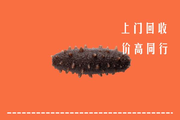 高价求购：芜湖回收海参
